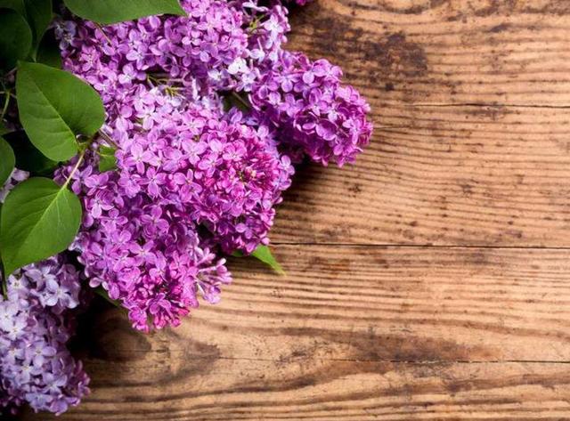 請善待，一路滄桑的自己