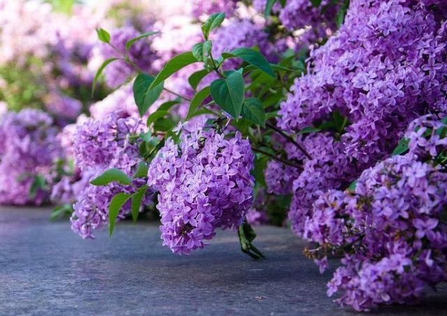 請善待，一路滄桑的自己