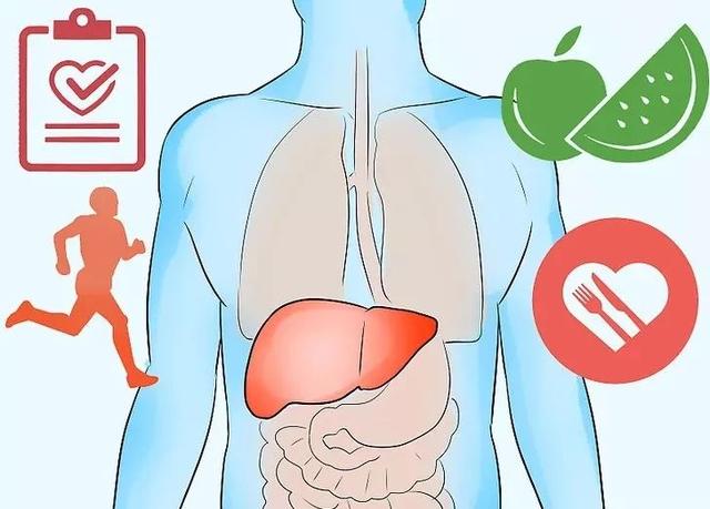脂肪肝可以吃回去？ 8種“超級食物”輕鬆緩解脂肪肝
