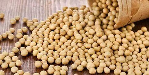 脂肪肝可以吃回去？ 8種“超級食物”輕鬆緩解脂肪肝