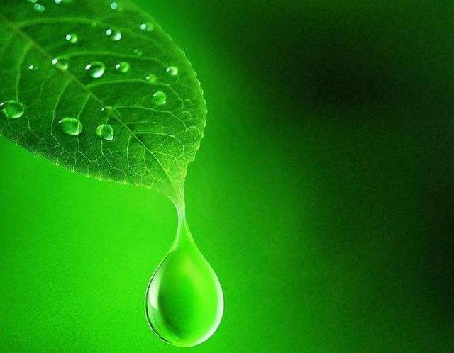 活著,最可靠的那個人,究竟是誰?