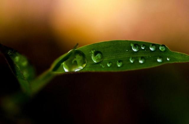 活著，最可靠的那個人，究竟是誰？