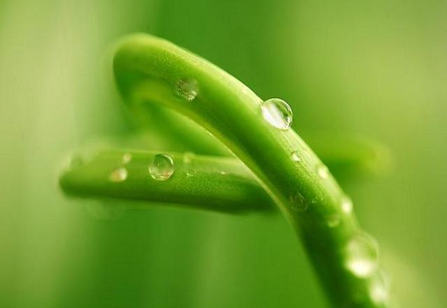 活著，最可靠的那個人，究竟是誰？