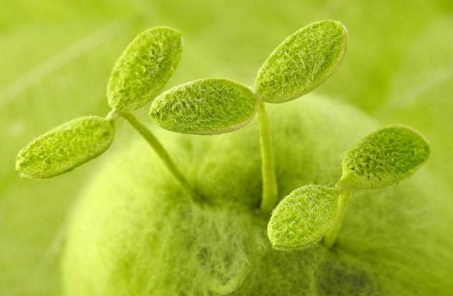 活著，最可靠的那個人，究竟是誰？