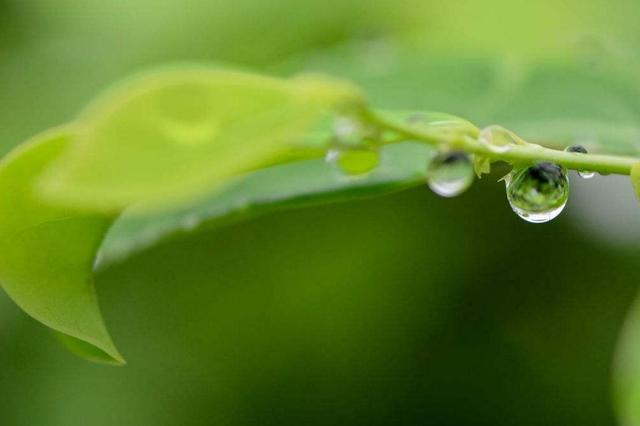 活著，最可靠的那個人，究竟是誰？