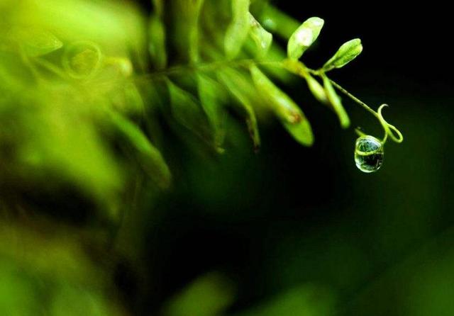 活著，最可靠的那個人，究竟是誰？