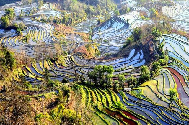 中國農民的藝術傑作，了不起！