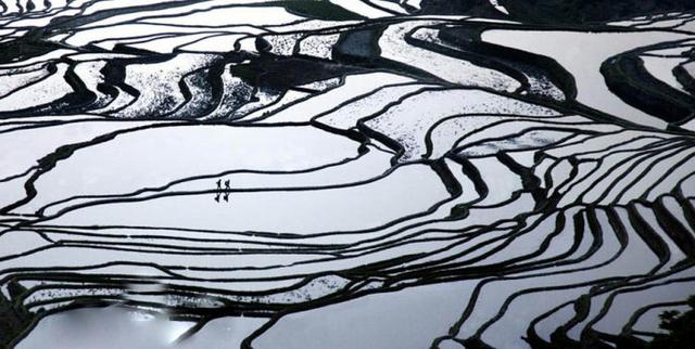 中國農民的藝術傑作，了不起！