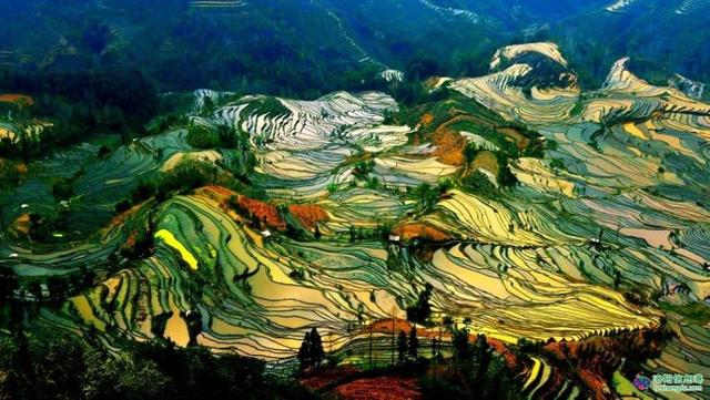 中國農民的藝術傑作，了不起！