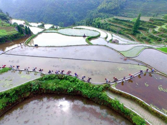 中國農民的藝術傑作，了不起！