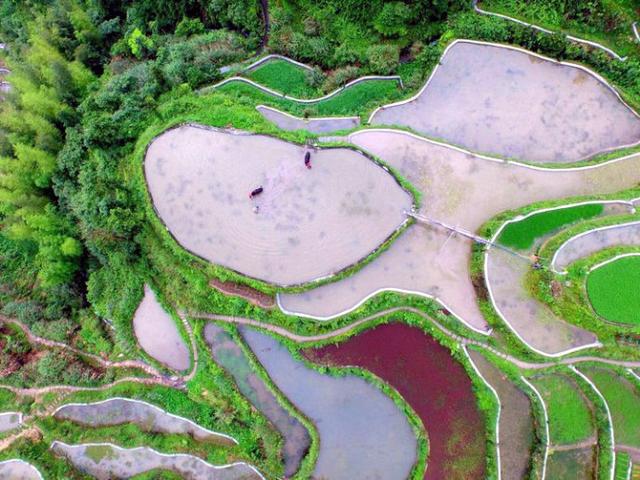 中國農民的藝術傑作，了不起！