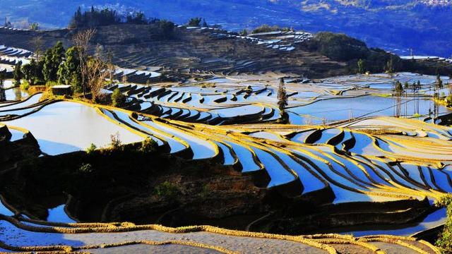 中國農民的藝術傑作，了不起！