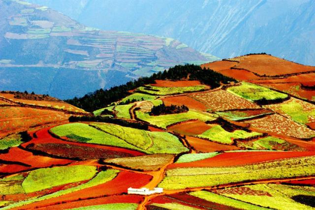 中國農民的藝術傑作，了不起！