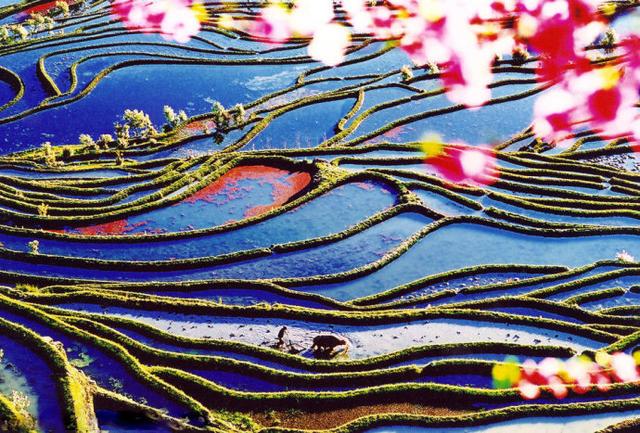 中國農民的藝術傑作，了不起！