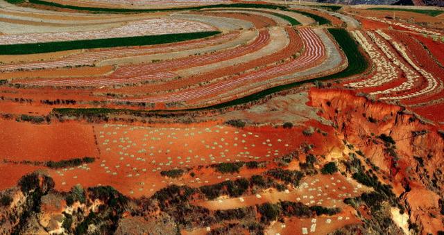 中國農民的藝術傑作，了不起！