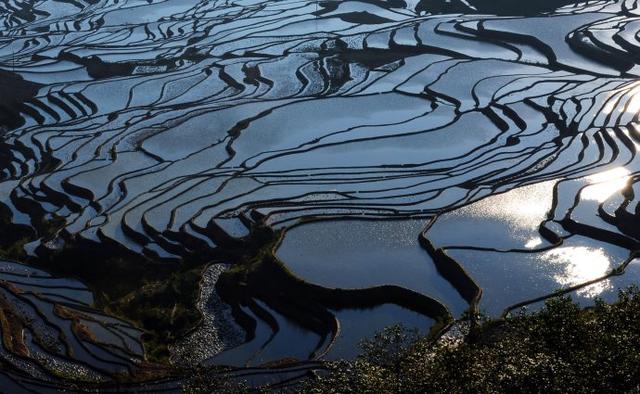 中國農民的藝術傑作，了不起！