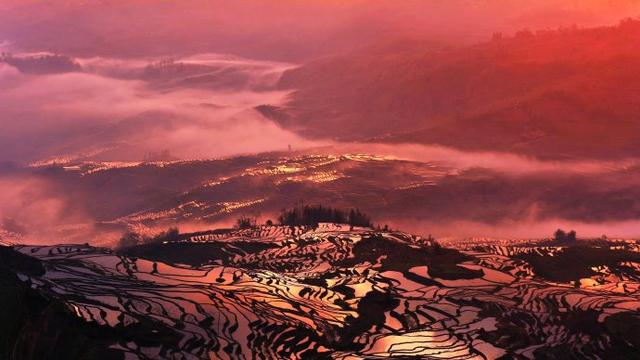 中國農民的藝術傑作，了不起！