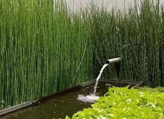 超好看的庭院小水景