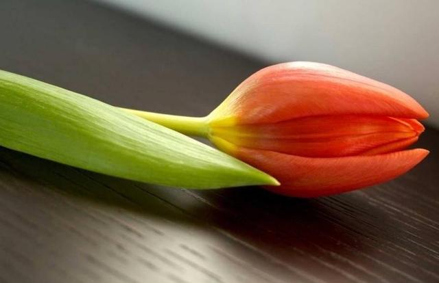 人到中年，最美好的三件事，第三件最開心