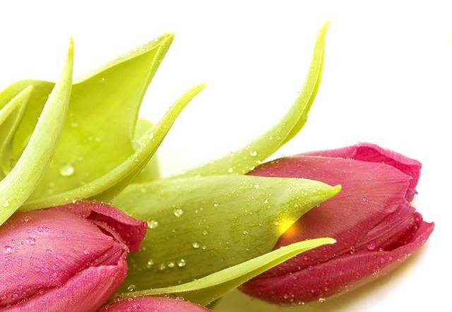 人到中年，最美好的三件事，第三件最開心