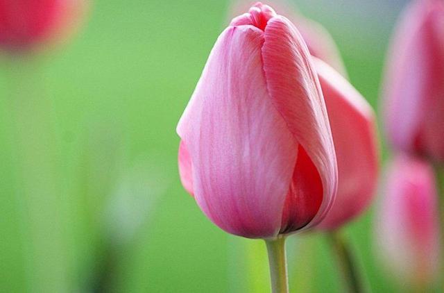 人到中年，最美好的三件事，第三件最開心