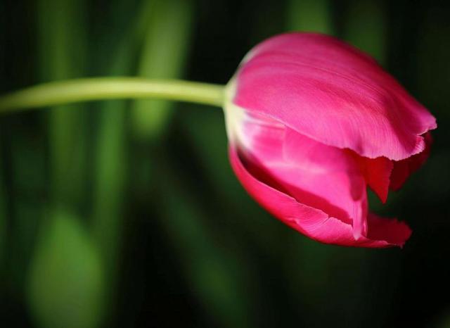 人到中年，最美好的三件事，第三件最開心