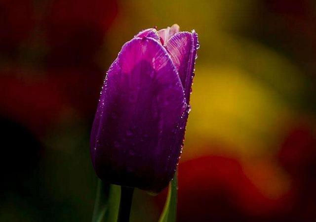 人到中年，最美好的三件事，第三件最開心