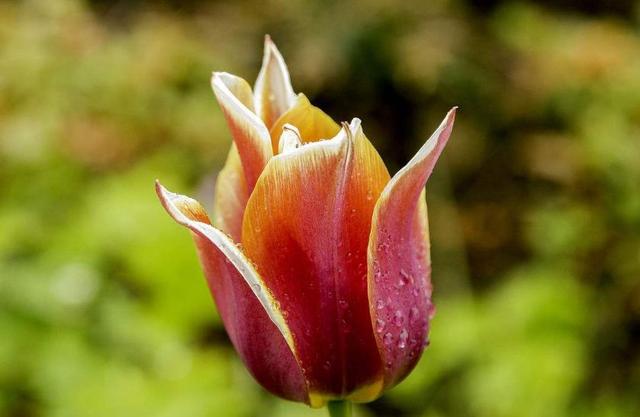 人到中年，最美好的三件事，第三件最開心