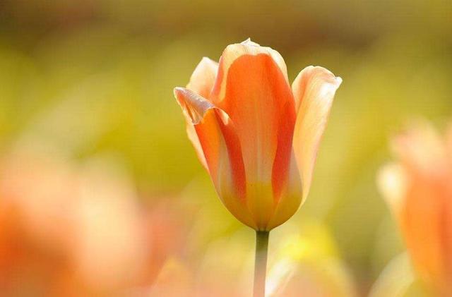 人到中年，最美好的三件事，第三件最開心