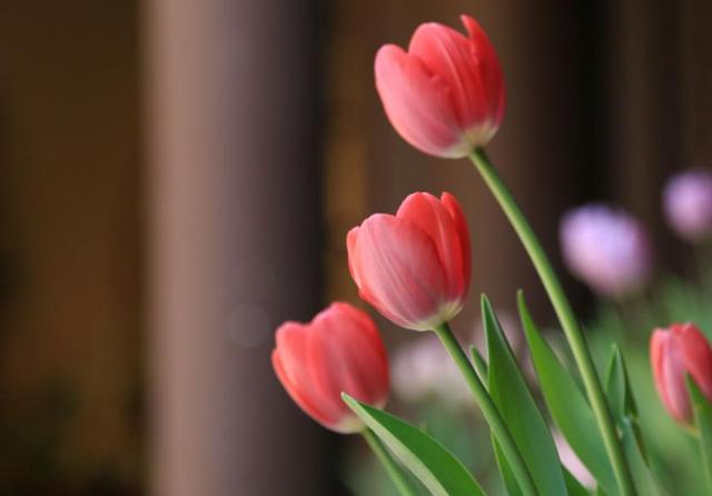 人到中年，最美好的三件事，第三件最開心