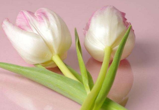 人到中年，最美好的三件事，第三件最開心