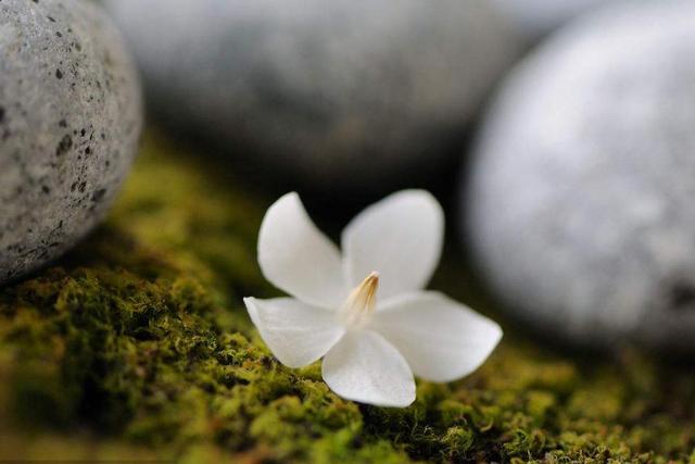 當你強大了，世界就公平了