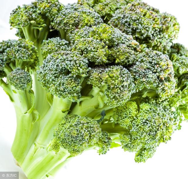 西蘭花這樣吃竟然最抗癌學會了全家人不怕癌