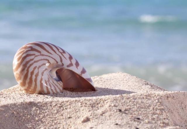 人生的三大補藥，喝下它，你就贏了