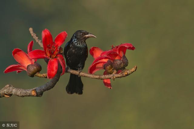 懂得讓步，知道低頭，才是真本事！