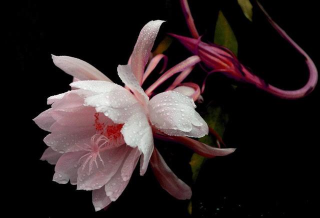 有故事的人，往往有這幾個特徵