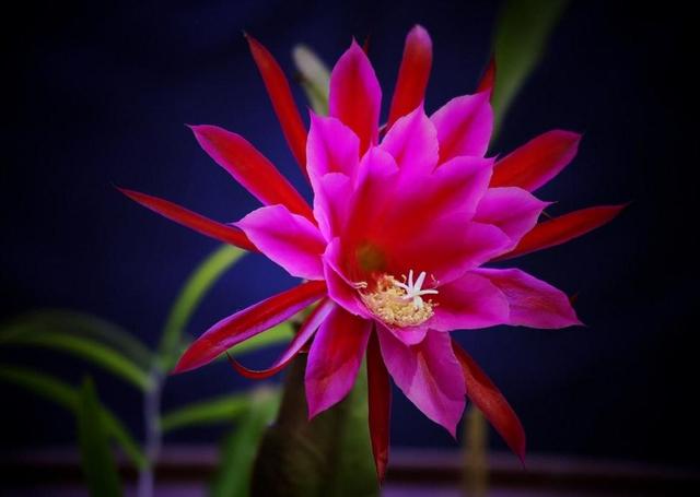 有故事的人，往往有這幾個特徵