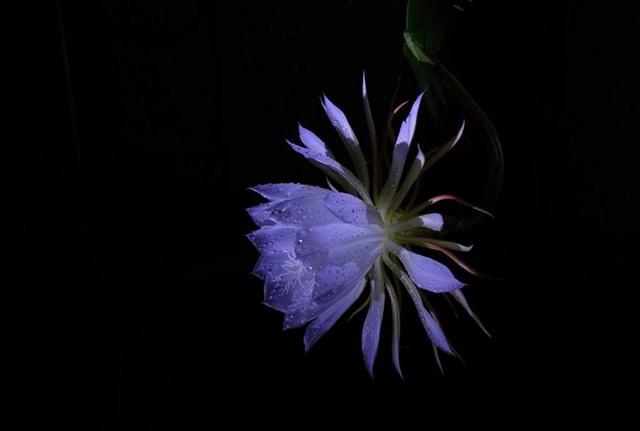 有故事的人，往往有這幾個特徵