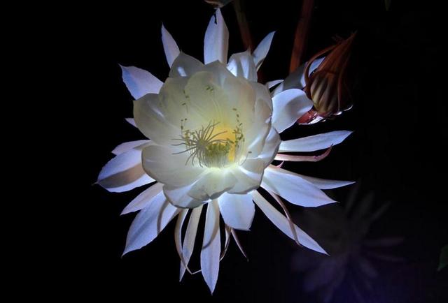 有故事的人，往往有這幾個特徵