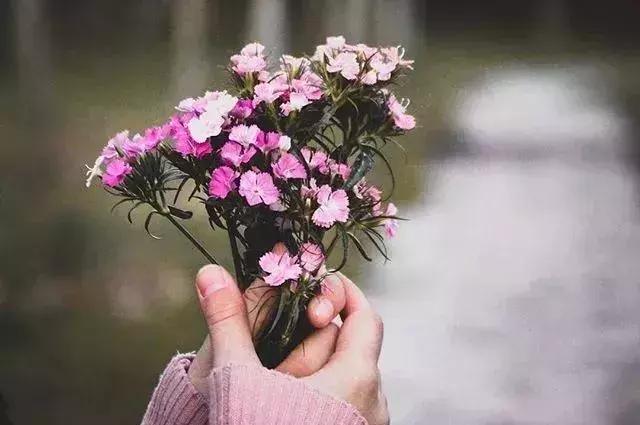 掌控分寸，掌控自己的命運！