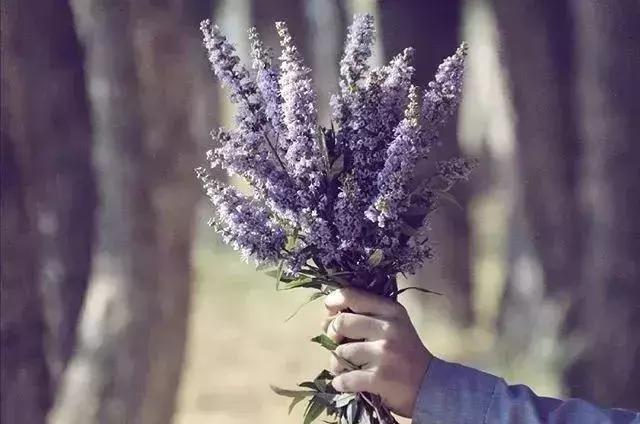 掌控分寸，掌控自己的命運！