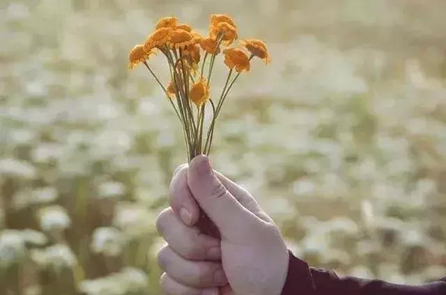 掌控分寸，掌控自己的命運！