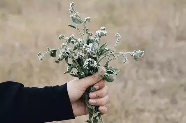 掌控分寸，掌控自己的命運！