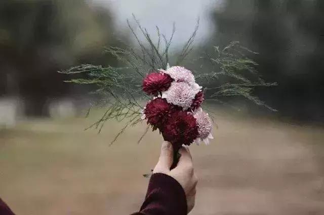 掌控分寸，掌控自己的命運！