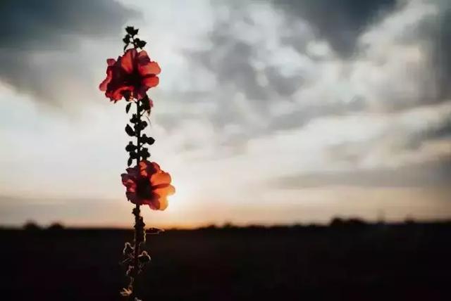 理解，大事化小，寬容，小事化無！