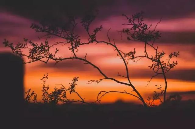 理解，大事化小，寬容，小事化無！