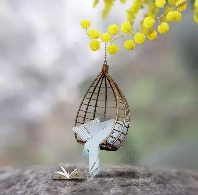 生活的苦與累，人生的苦與樂，自己調節！
