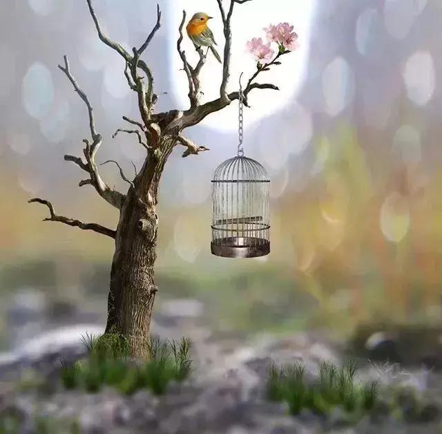 生活的苦與累，人生的苦與樂，自己調節！