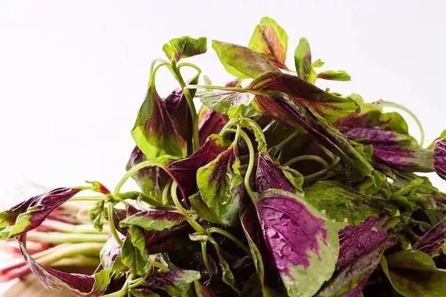 被稱為“長壽菜”的它，加點大蒜，效果翻倍！ 不知道真虧