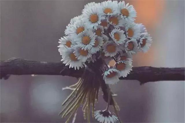 是自己變了？ 還是朋友變了？